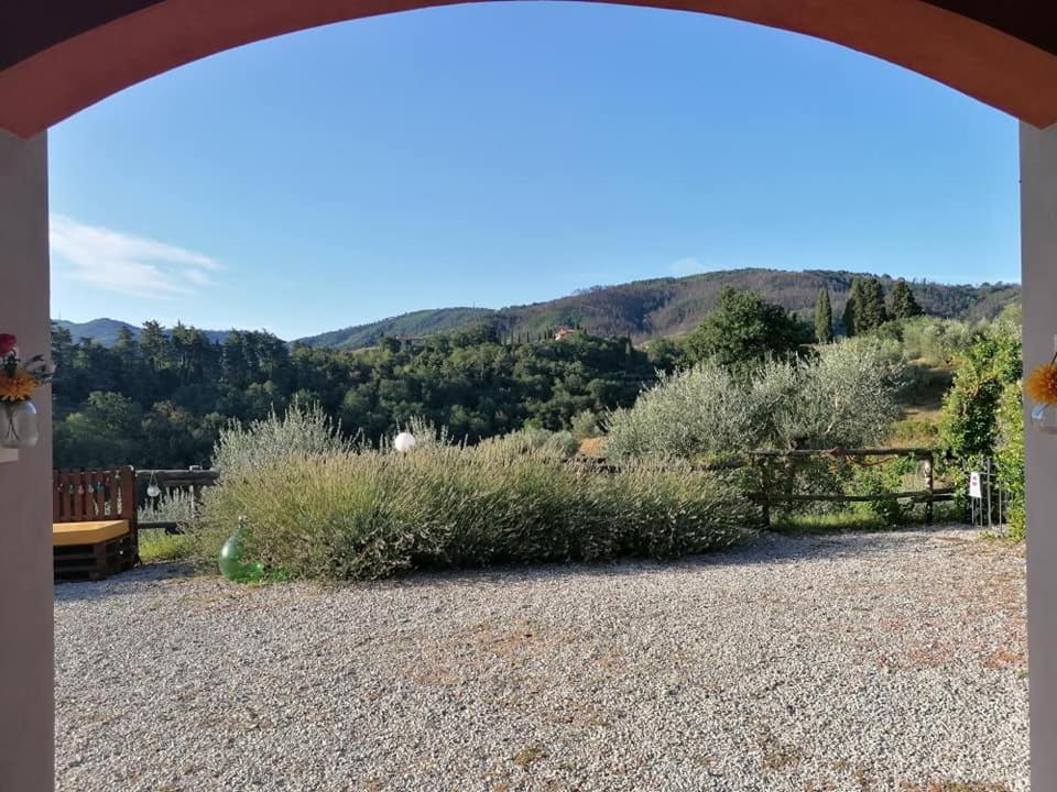 Olivia B&B And Apartment Cantagrillo Exterior photo